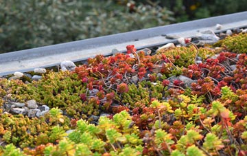 the cost of Kemsley Street green roof installation