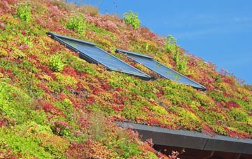 Kemsley Street living roof systems